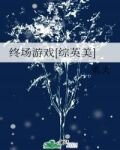 终场游戏[综英美]