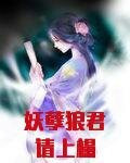 妖孽狼君别乱来