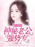 花式撩妻：神秘老公，强势宠