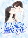 夫人她是满级大佬