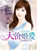 天价隐婚妻