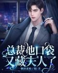 总裁他口袋又藏夫人了TXT