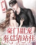 豪门甜宠：秦总请站住