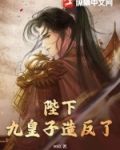 陛下，九皇子造反了！
