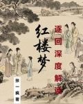 红楼梦中的经典回目